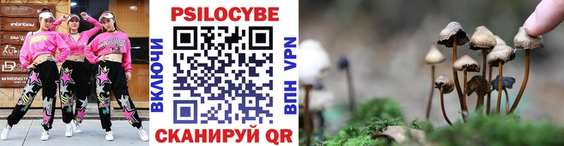 Галлюциногенные грибы прущие грибы Закаменск